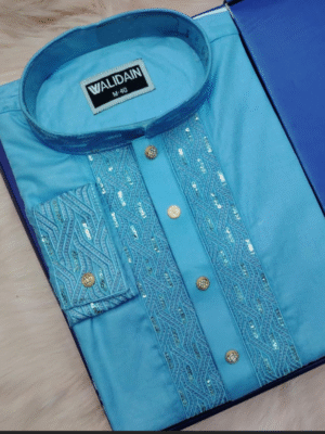 Vibrant Blue Panjabi with Sequin Embroidery