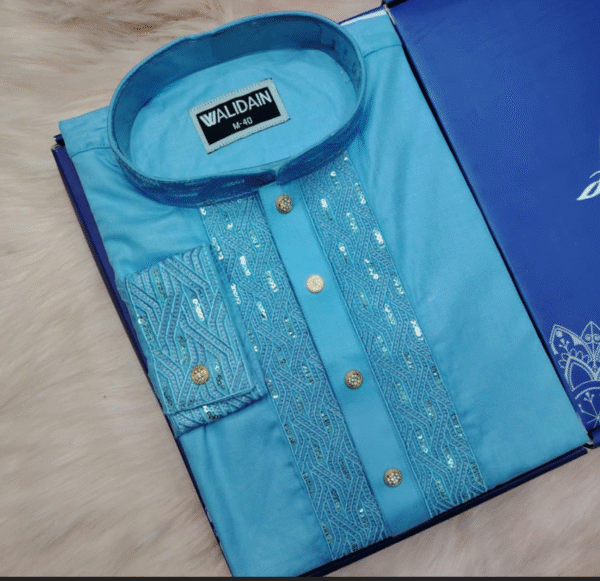 Vibrant Blue Panjabi with Sequin Embroidery